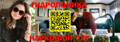 гидра Лесосибирск