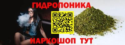 гидра Лесосибирск