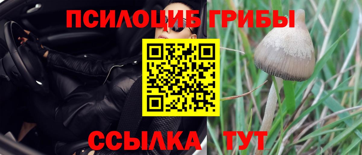 Галлюциногенные грибы прущие грибы  Вход с VPN  Кандалакша 